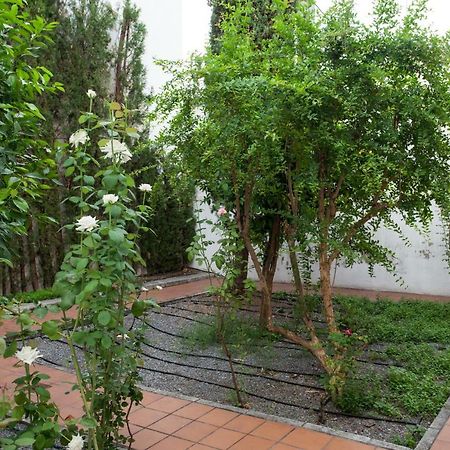 Apartamento De Lujo En Antiguo Convento Granada Bagian luar foto